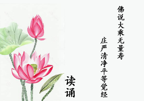 《无量寿经》读诵-弘道讲堂